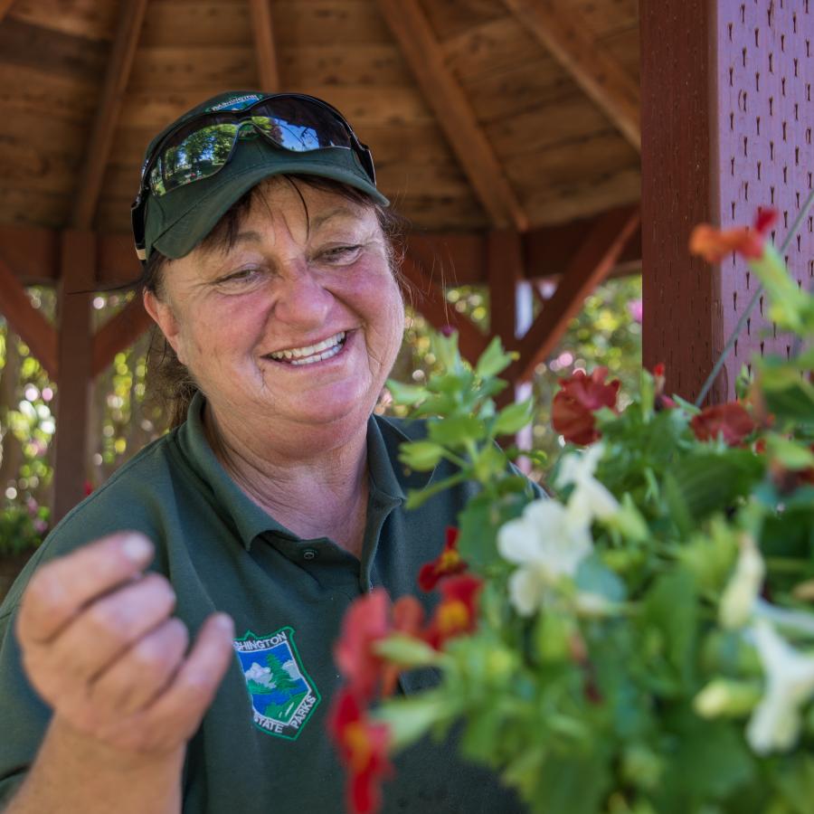 Park aide taking care of a flower basket hanging from the gazebo 