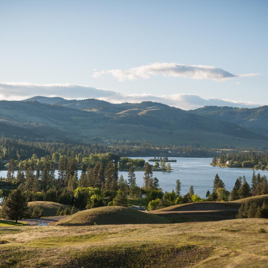 A wide view of golden rolling hills in the foreground, a lake surrounded by trees, and tall mountains in the background.