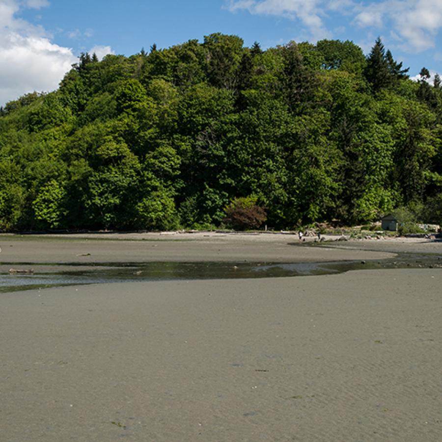 A visitor walking towards the water on the beach of Dash Point State Park.