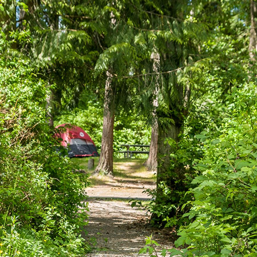 The camp trail at Dash Point State Park.