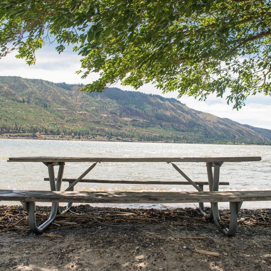 picnic table shaded under green tree branches, looking out at the beautiful lake