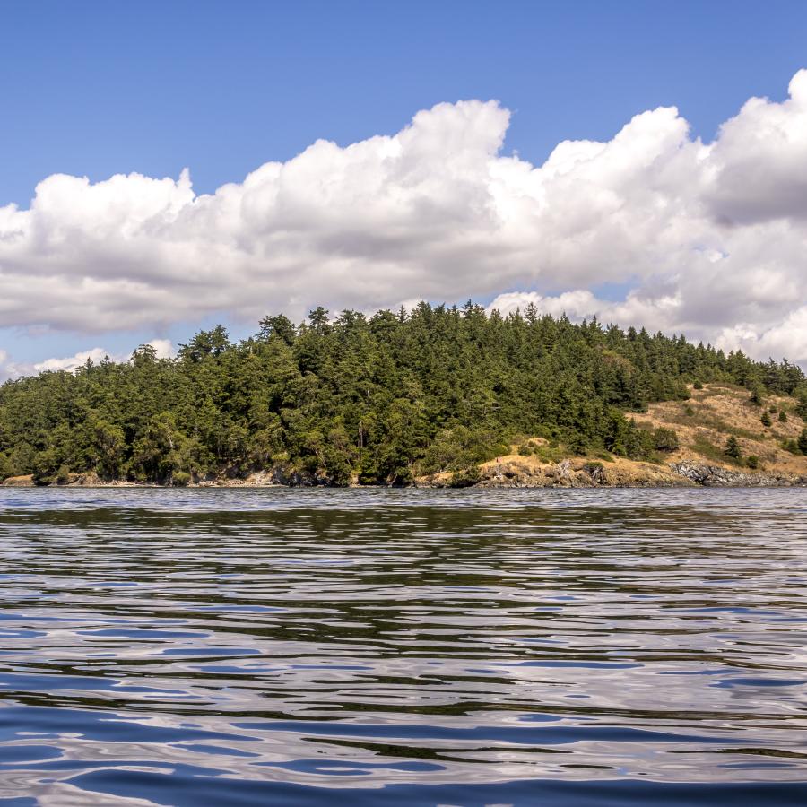 View from the water of Hope Island State Park.