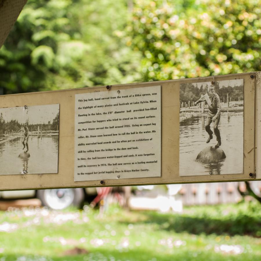 interpretive sign about history of logging