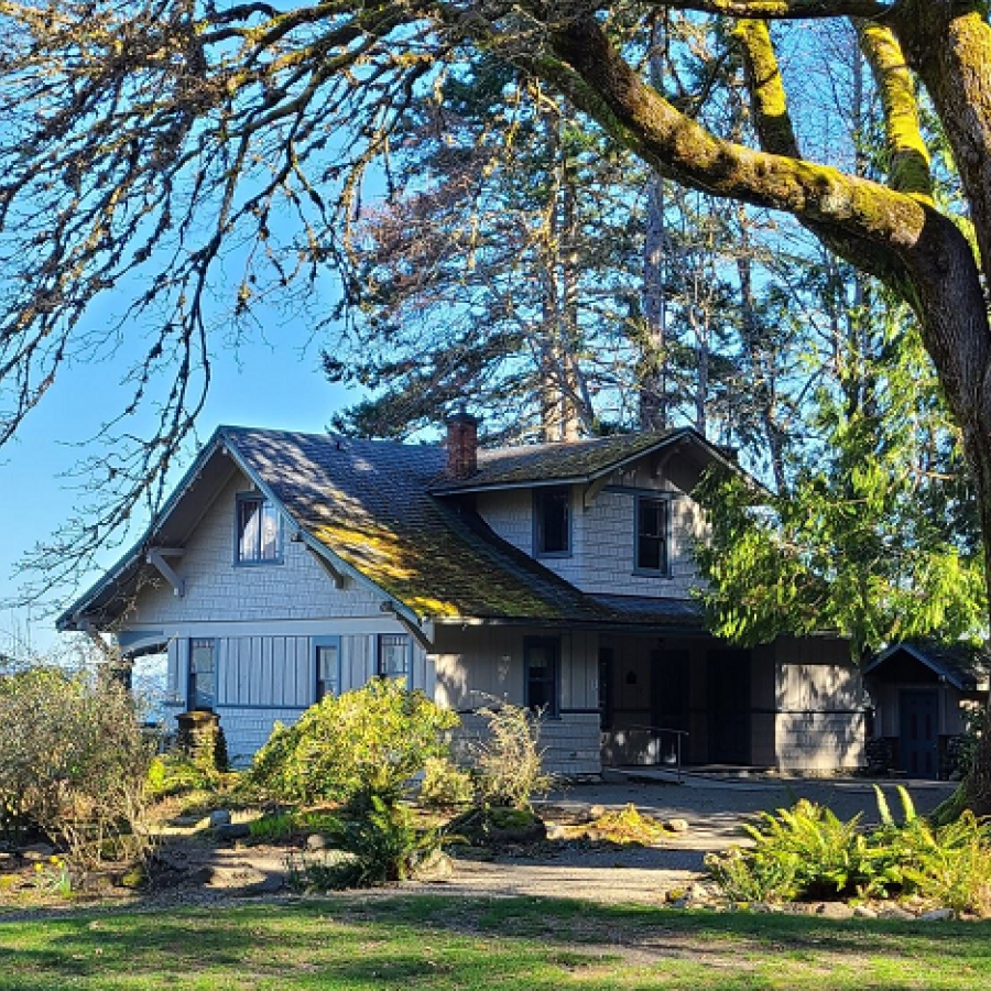 Scenic Beach Emel House Exterior with tree