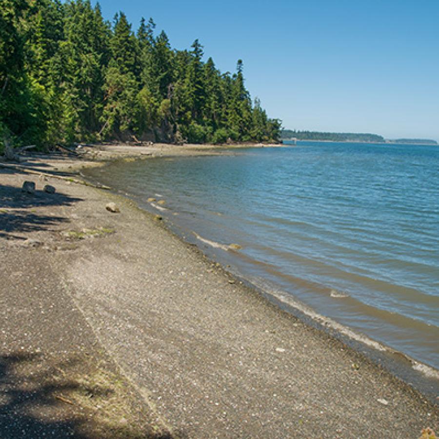 The rocky shoreline of Sequim Bay.