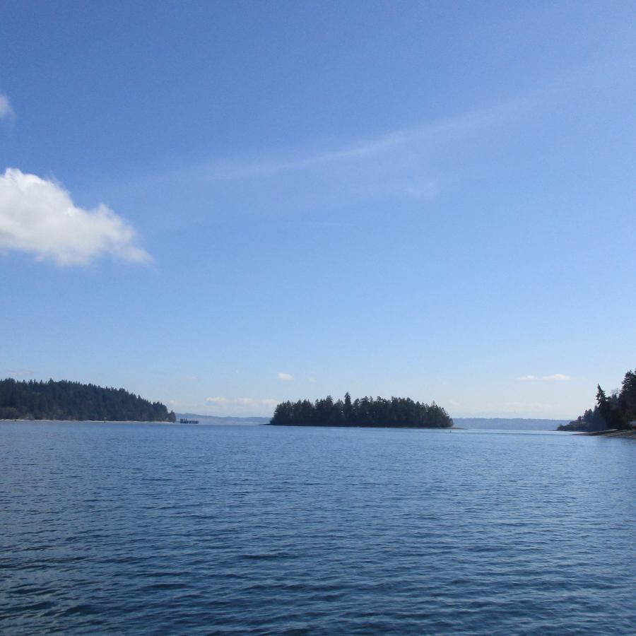 Eagle Island full view pudget sound