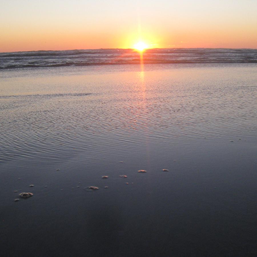 Grayland Beach sunset ocean view sandy beaches