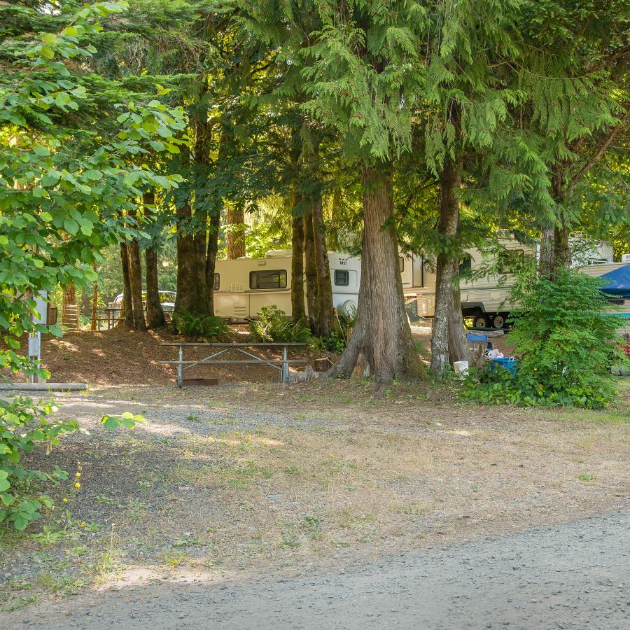 large blue and white tent set by campers in a primitive campsite