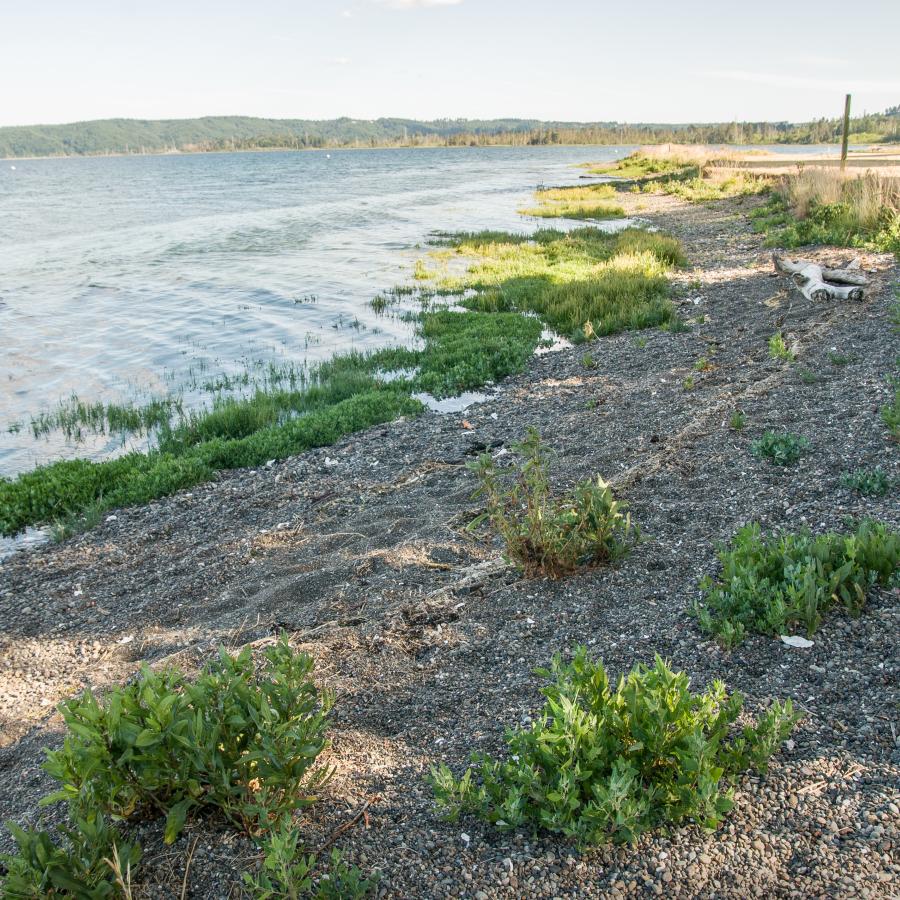 north view of lakeshore trail along the path of stone and sand