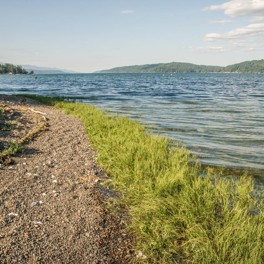 trail leading around a bend of the lake just above the rocky shore