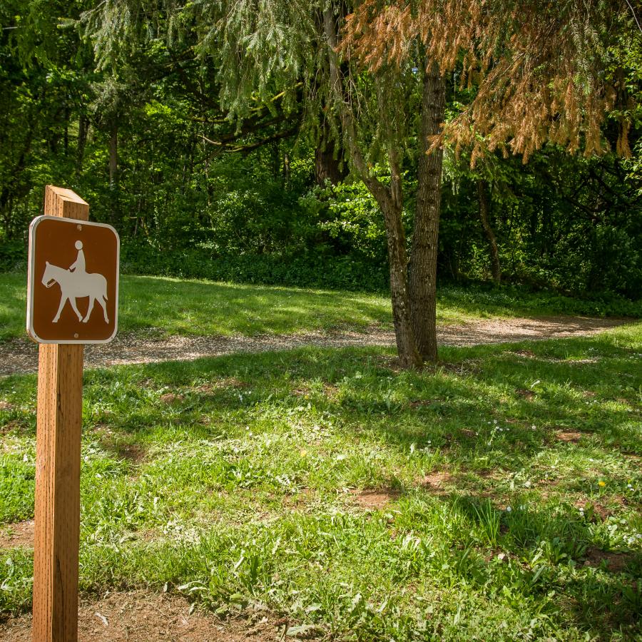 Horseback riding is a popular park activity.