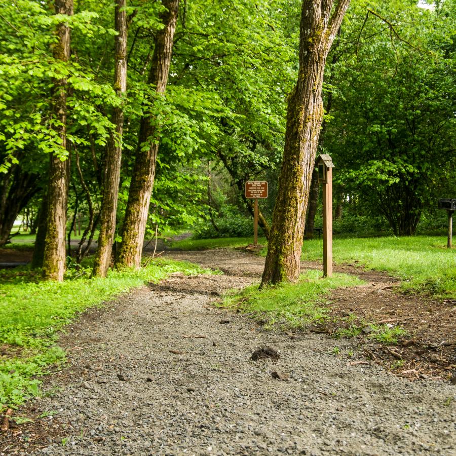 Battle Ground horse trail.