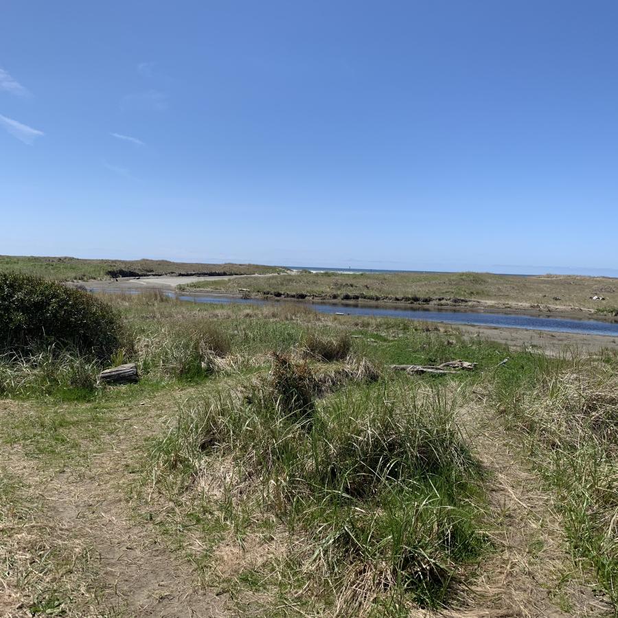 Griffiths-Priday trail to river wetlands sea grass