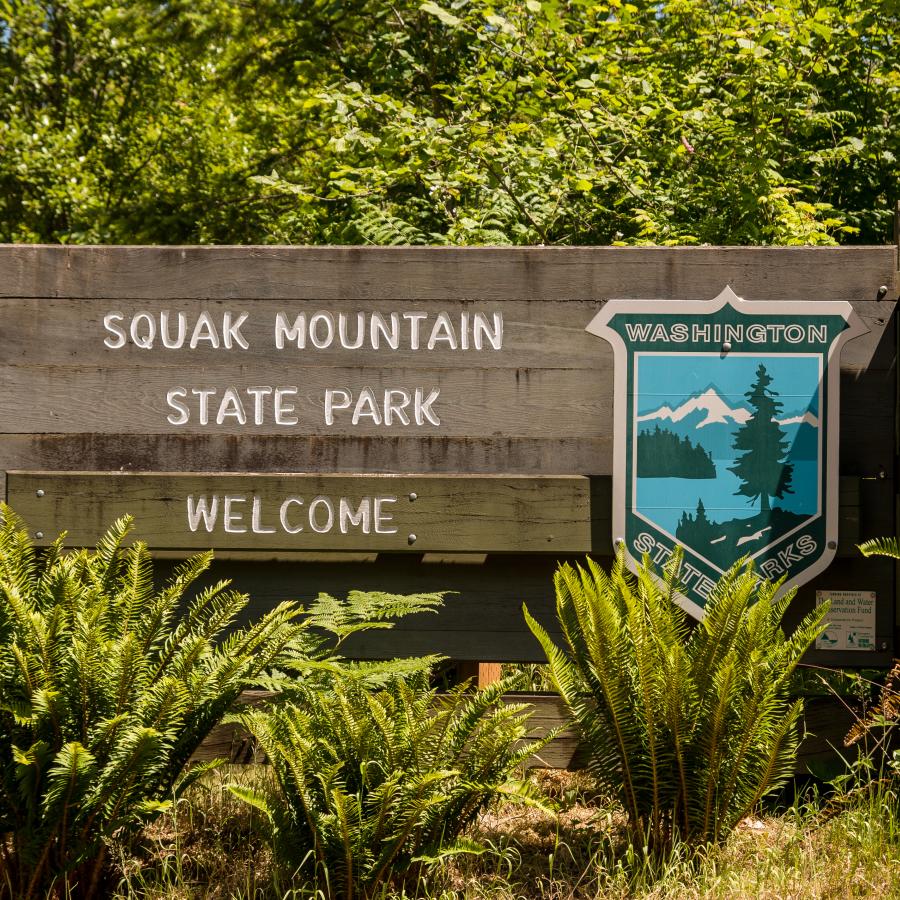 Entrance sign at Squak Mountain State Park with the parks shield and the word "Welcome." Set against a backdrop of green trees and undergrowth. Green ferns are visible in front of the sign. 