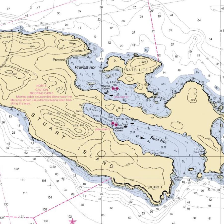 Stuart Island Chart showing topo-graphics and water depths