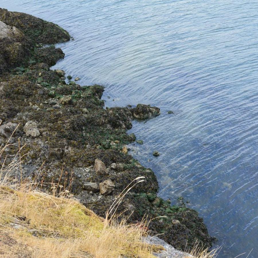 A rocky shoreline at Blind Island State Park, an Island in the San Juans. The shore is rocky, ragged and covered in heavy stones. 