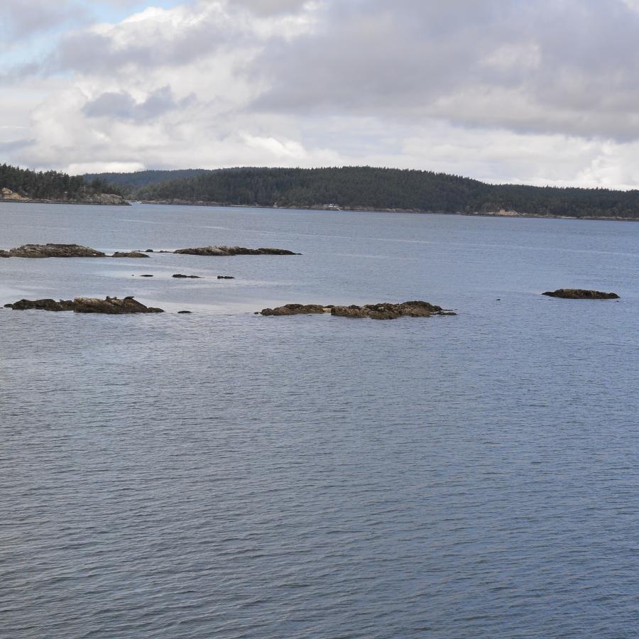 A view toward the water from Blind Island State Park , an island in the San Juans, with islands large and small dotting calm, gray waters and steely clouds above.