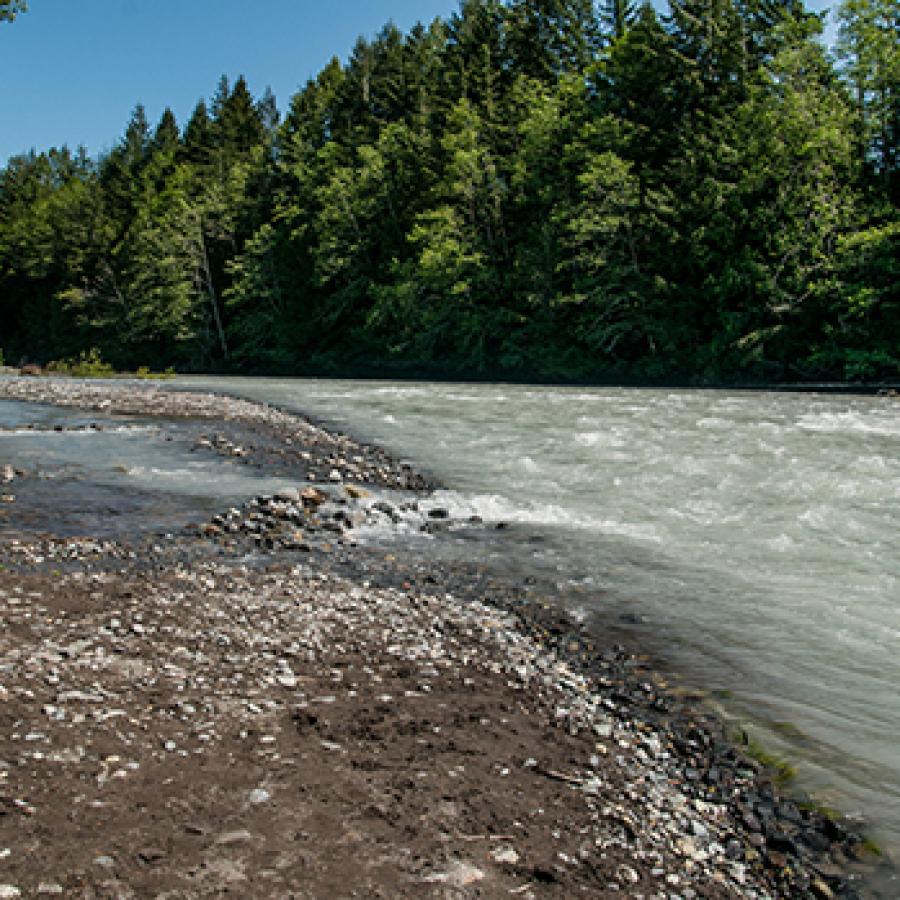 Shoreline at Federation Forest State Park.