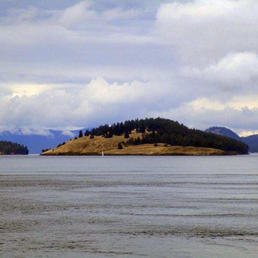 A view of Jones Island from across grey waters. The island has brown grass with trees starting midway up the left side of the hill and covering the top and all the right side of the island.