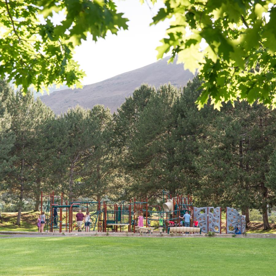 Kids play on the large playground surrounded by green grass and evergreen trees. The brown hillside can be seen in the background. 