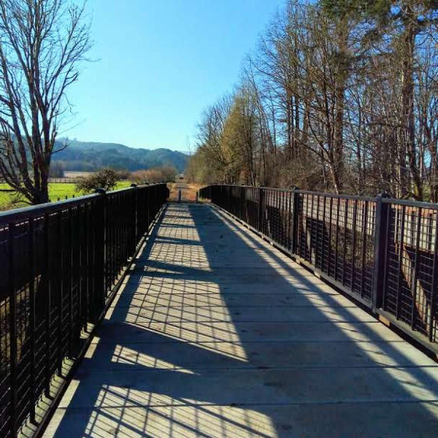 A narrow converted rail bridge running through a tree-lined valley.