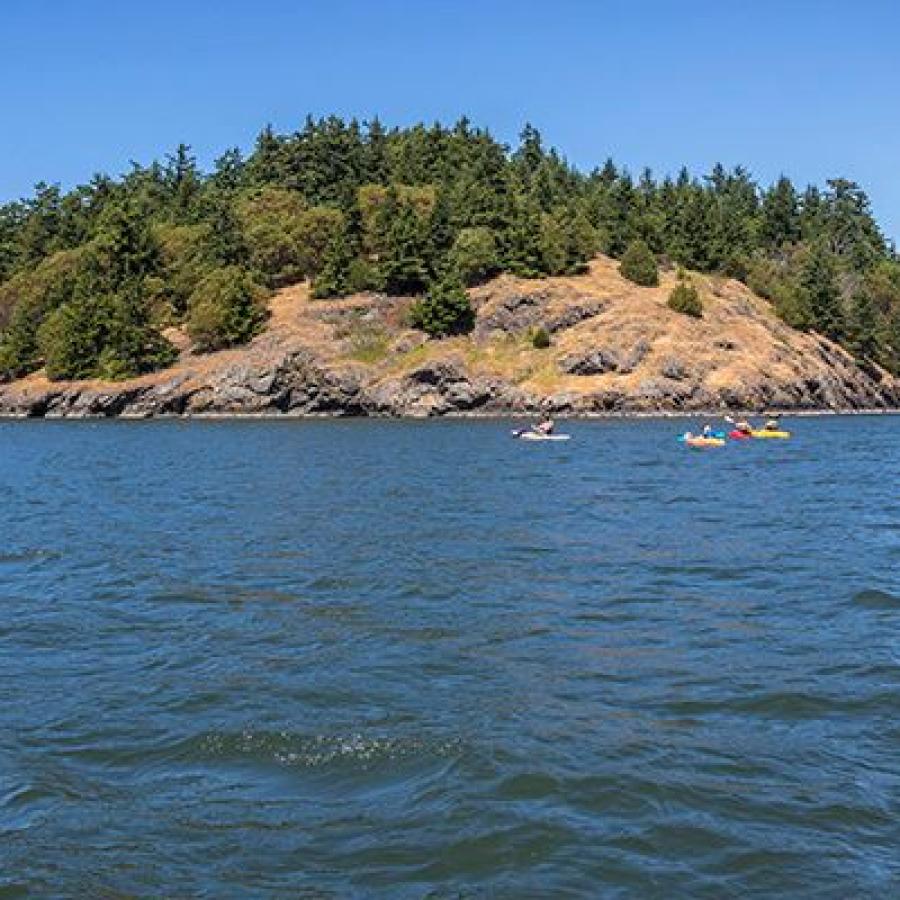 Skagit Island from a distance 