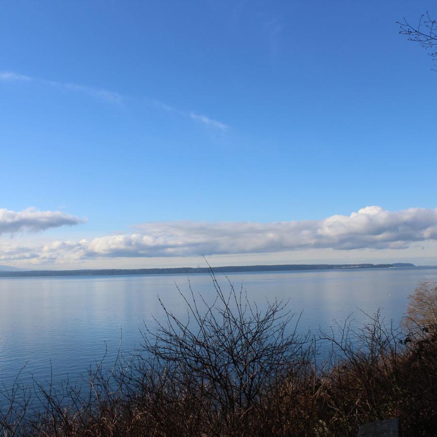 Blue sky and ocean