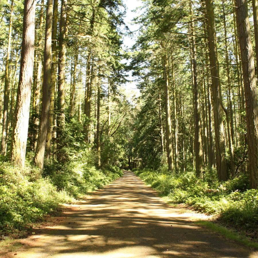 Paved Trail on Artillery Hill