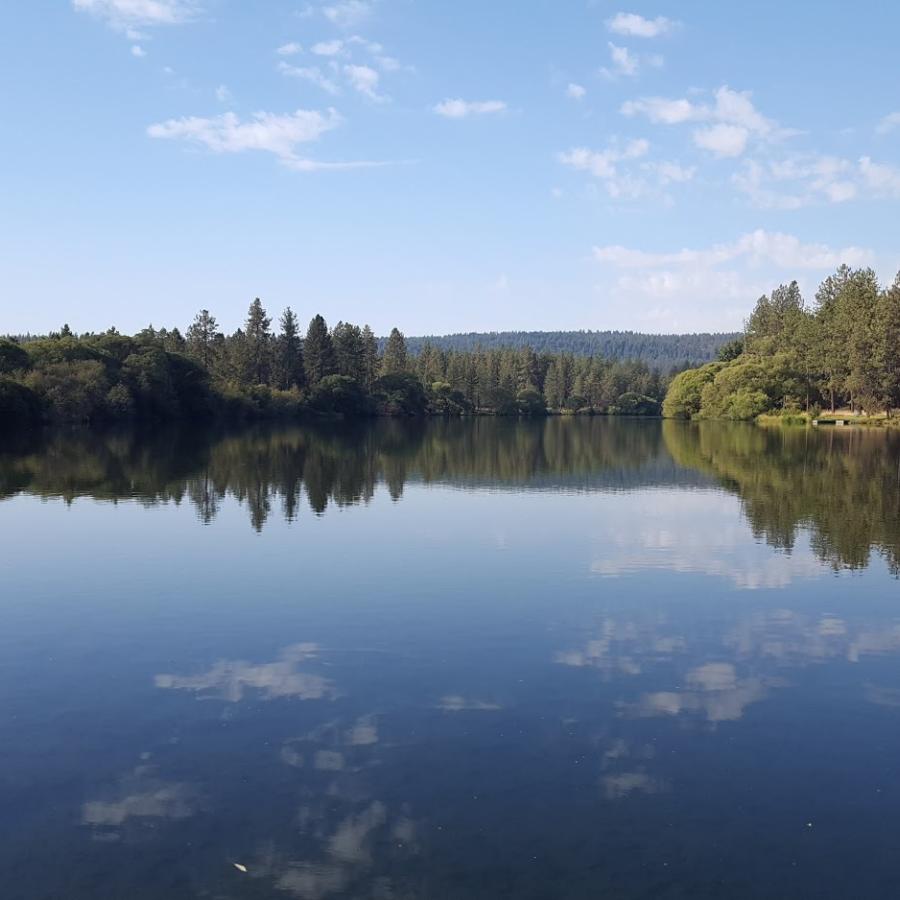 Calm water reflects clear blue sky with tall green trees and bushes to each side.