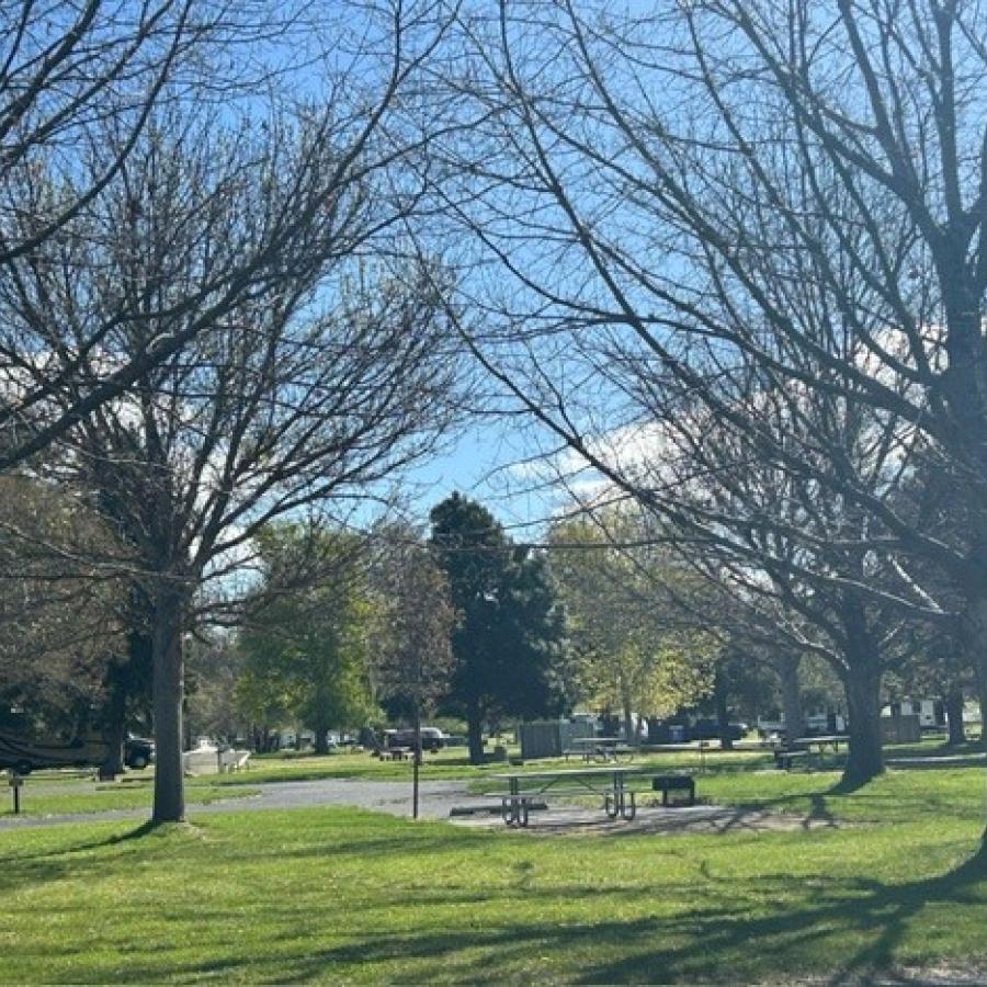 Maryhill campground