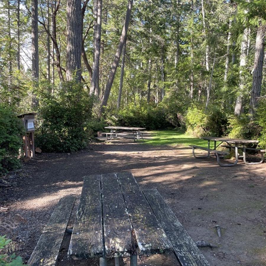 Group camp with picnic table