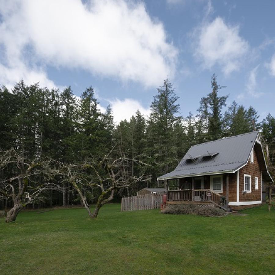 House and trees