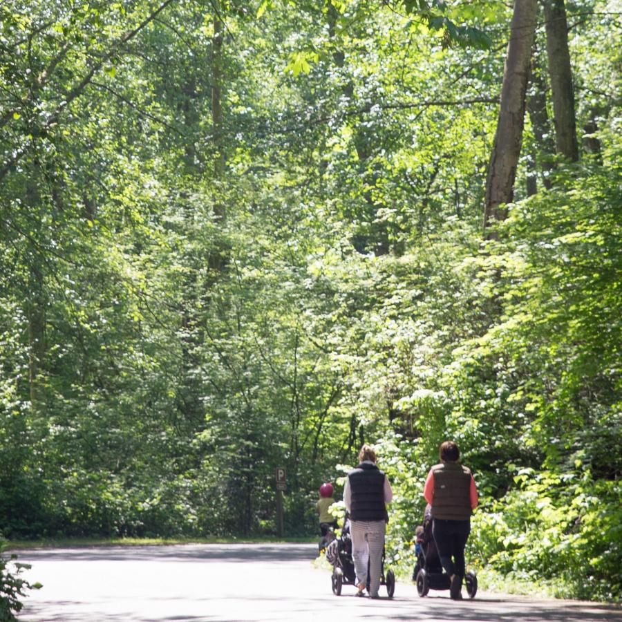 Family walking in the wooded trails with sun shinning through the trees