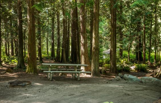 Campsite at Fort Flagler.