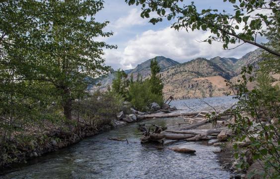 Stream with log jam with mountains in background