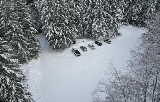 Five vehicles parked in a snow-covered parking area surrounded by tall snow-dusted pine trees.