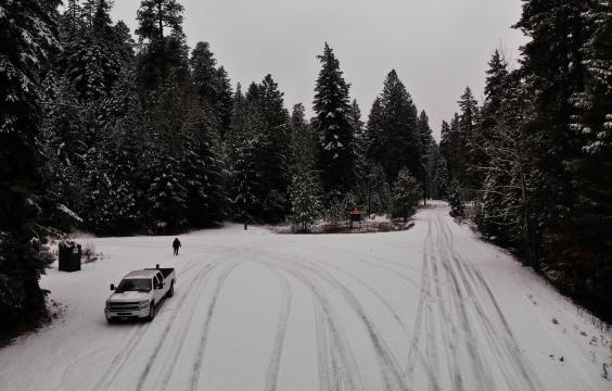 Two snow-coverd forest roads with tire tracks converge into a wide snow-covered area surrounded by pine trees.