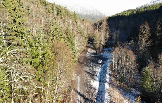 A dirt forest road next to a snow-dusted parking area surrounded by pine trees on both sides with snowy mountains in the background.