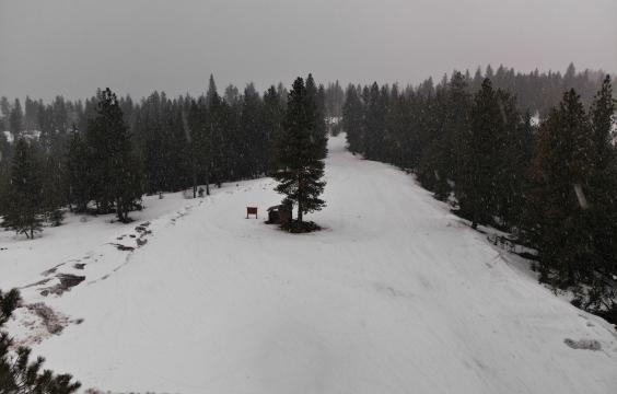 Snow falls on an open parking area covered by thick snow and bordered by pine trees and snowy ground.