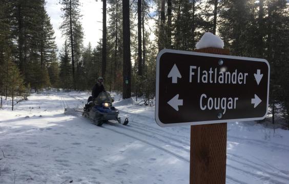 A person riding a snowmobile down a snow-covered path. A sign for Flatlander and Cougar trails is in the foreground.