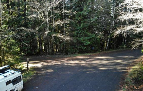 Paved section of a shaded forest road with no snow present. A small pull-out is on the left side.