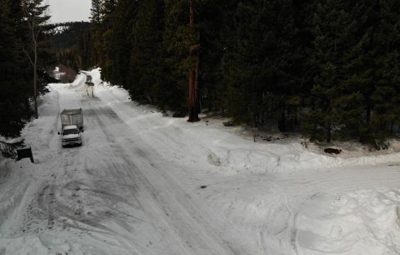 T-intersection of two forest roads covered thinly with snow surrounded by pine trees. A porta-potty sits in the corner half-buried in snow.