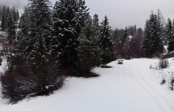 A snow-covered parking area with snow-dusted trees on the left side.