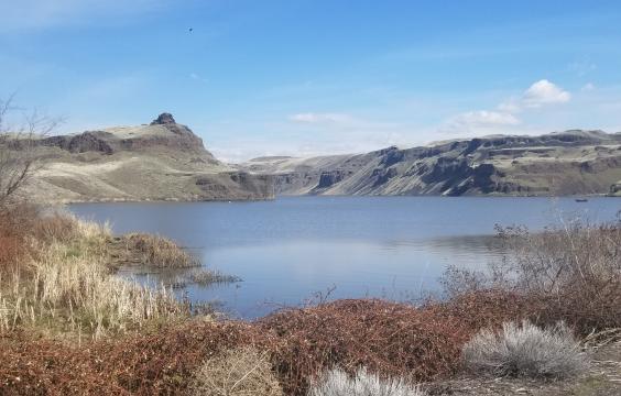 Blue sky and river, red and brown shrubs.