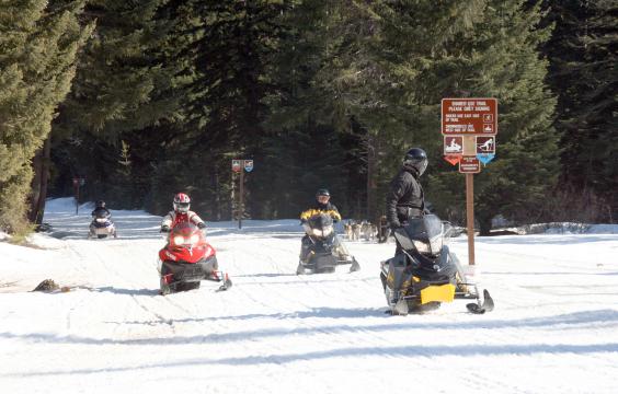 Red, black and yellow snowmobiles 