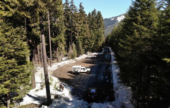 Plowed forest road leading to a plowed parking area surrounded by a tall pine forest. 