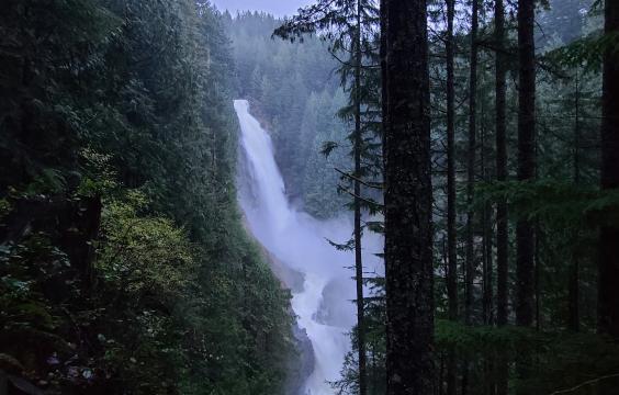 Large waterfall and green trees