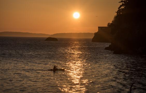 kayaker paddling near shore at sunset